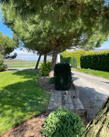 Les Pins Noirs